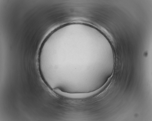 X0000116681384201001111323