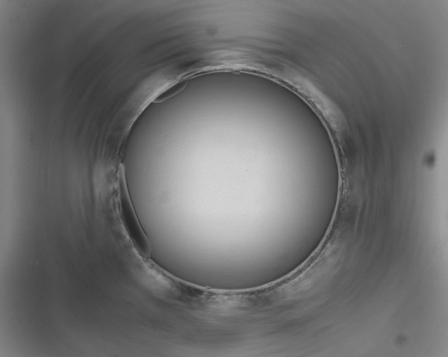 X0000116681385201001111323