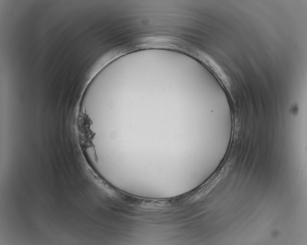 X0000116681386201001111323