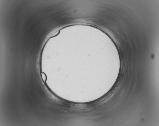 X0000116681387201001111323