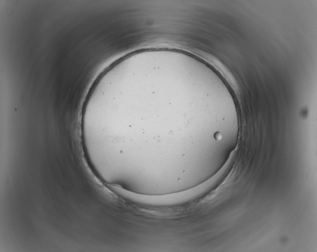 X0000116681388201001111323