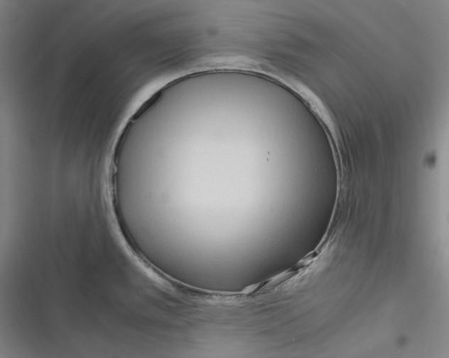 X0000116681389201001111322