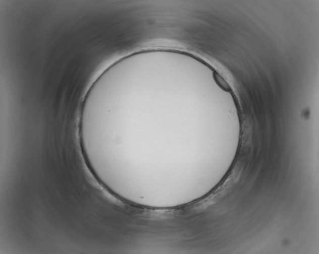 X0000116681390201001111322