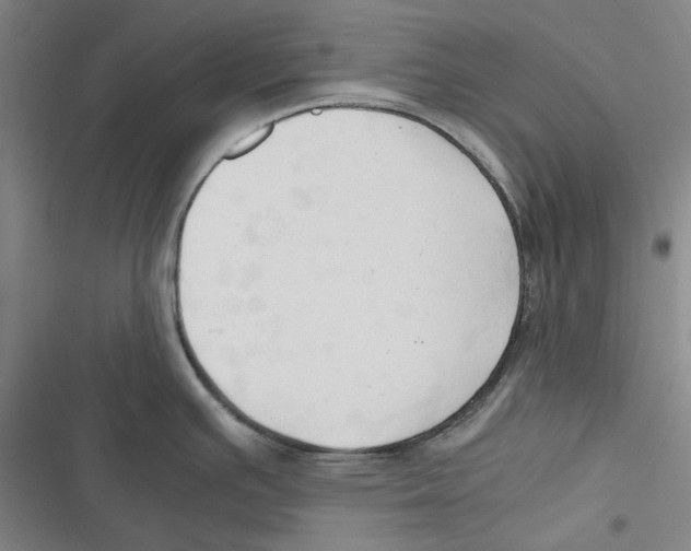 X0000116681391201001111322