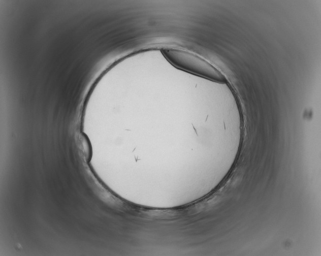 X0000116681392201001111322