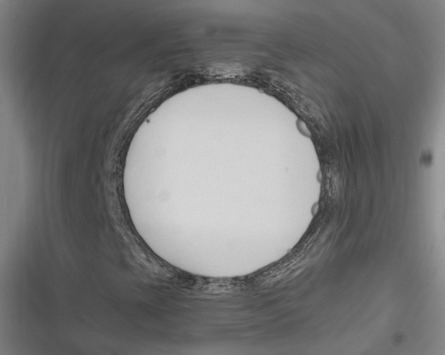 X0000116681393201001111322