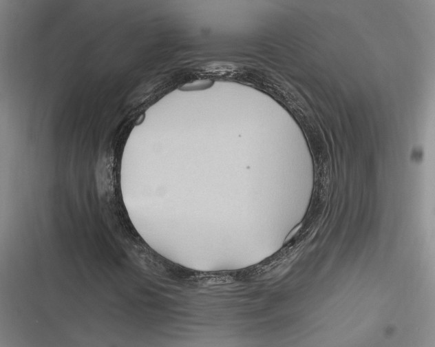 X0000116681394201001111322