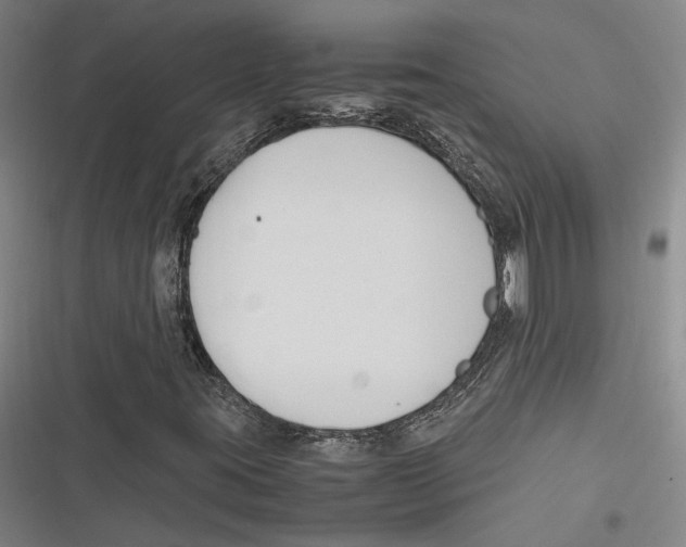 X0000116681395201001111322