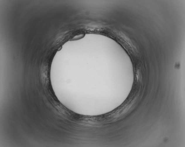 X0000116681396201001111322