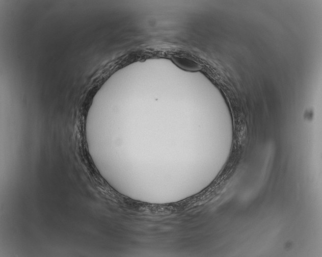 X0000116681397201001111322