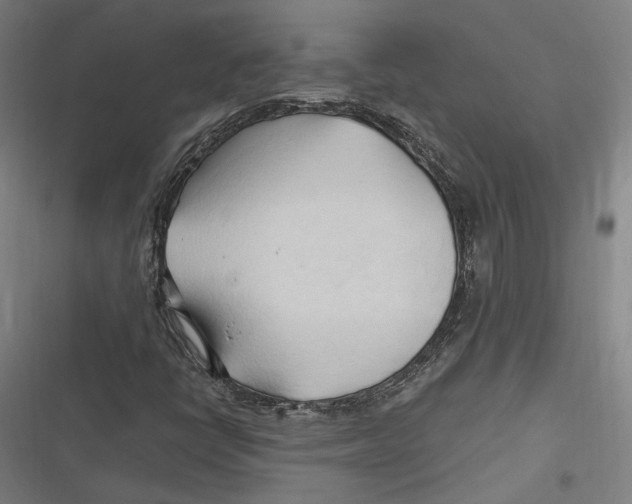 X0000116681398201001111322