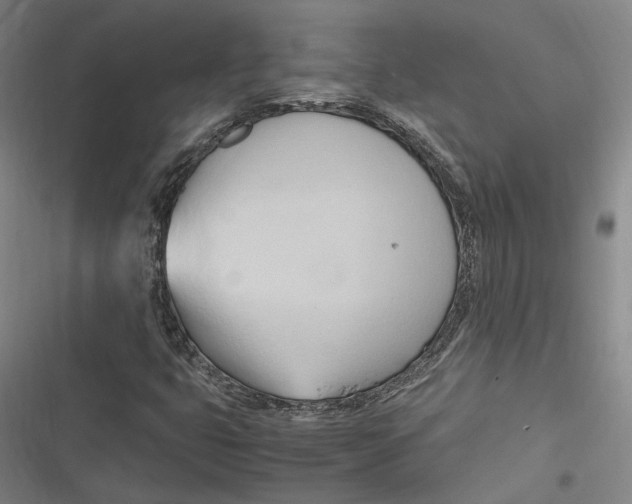 X0000116681399201001111322