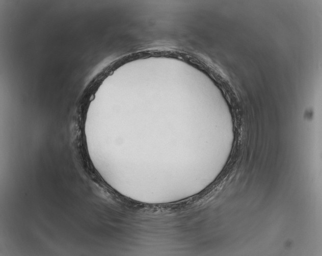 X0000116681400201001111322