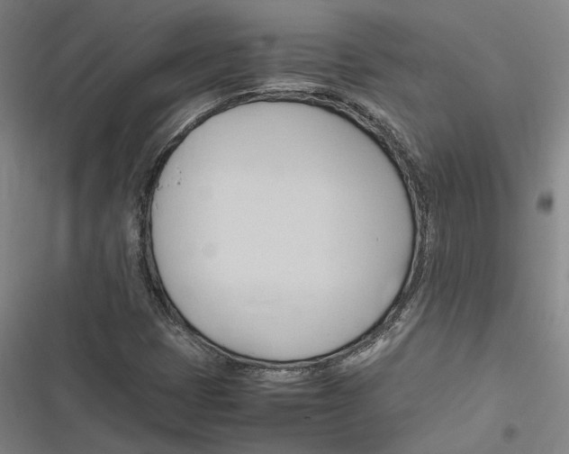 X0000116681401201001111322