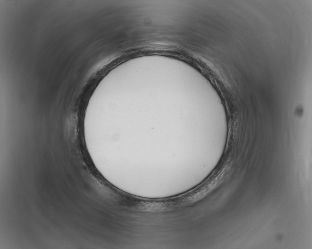 X0000116681402201001111322