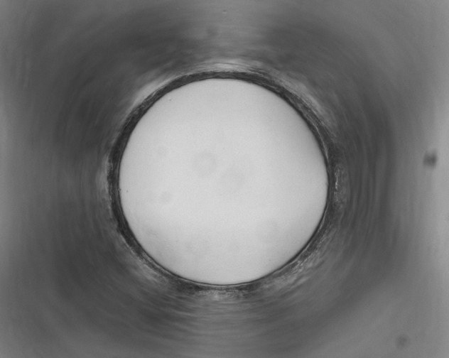 X0000116681404201001111322