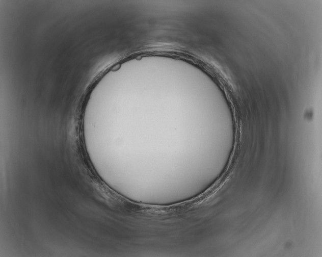 X0000116681405201001111322