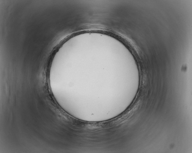 X0000116681407201001111322