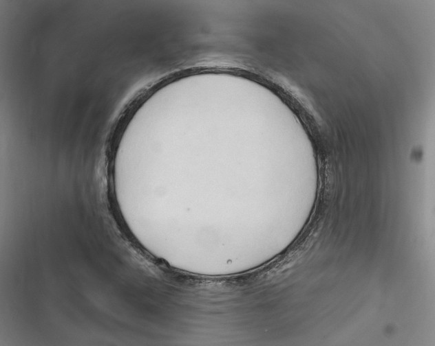 X0000116681408201001111322