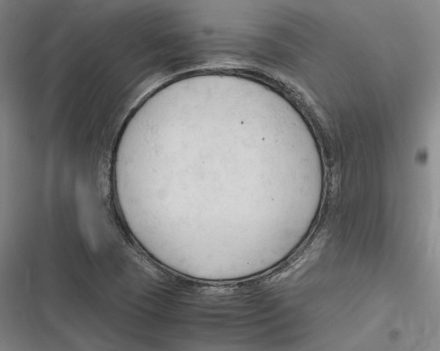 X0000116681409201001111322