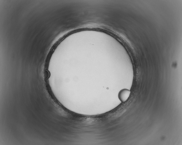 X0000116681412201001111322