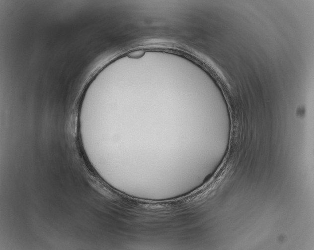 X0000116681413201001111322