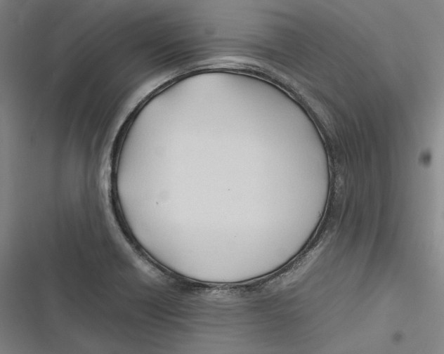 X0000116681418201001111322