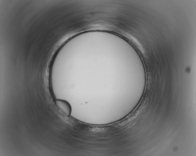 X0000116681419201001111322