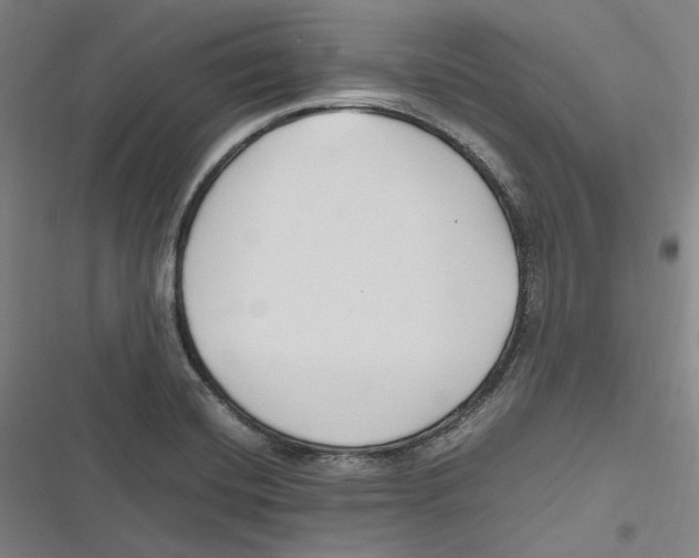 X0000116681420201001111322