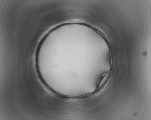 X0000116681422201001111322