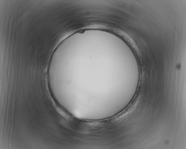 X0000116681425201001111322