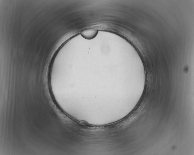 X0000116681426201001111322