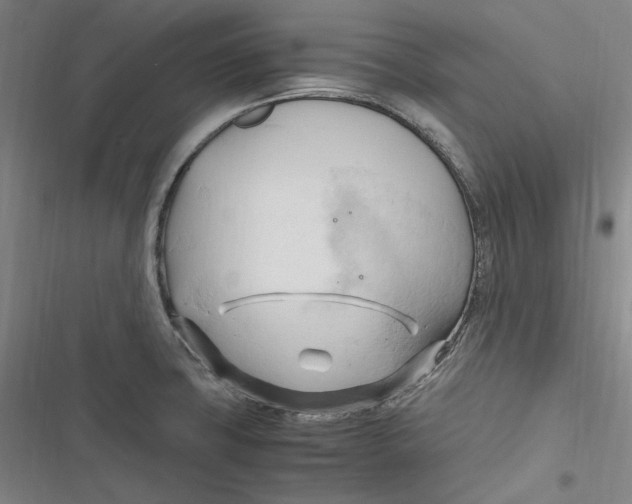 X0000116681427201001111322