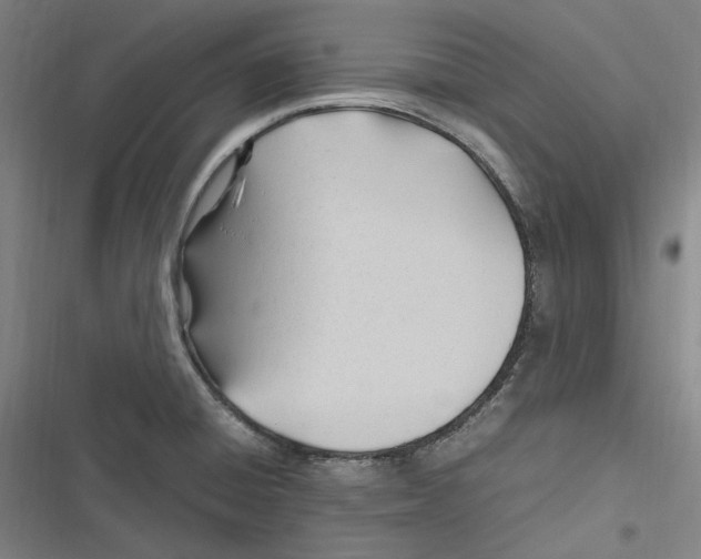 X0000116681428201001111322