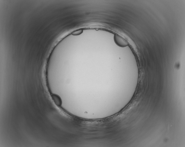 X0000116681429201001111322