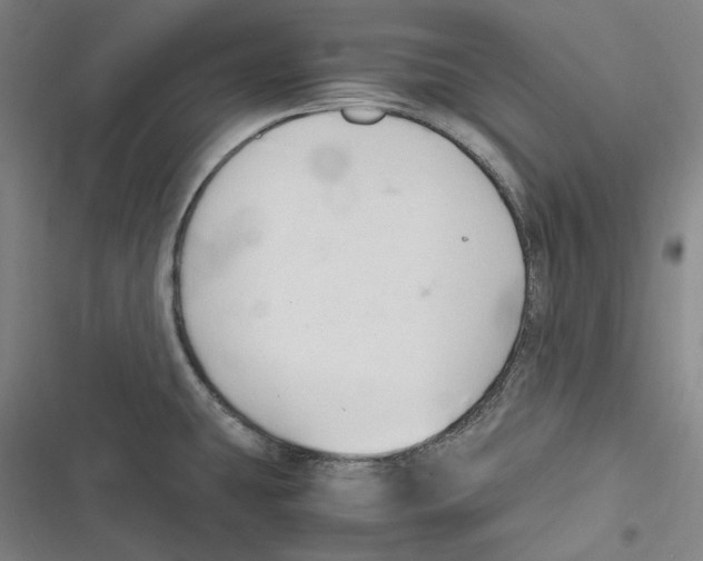 X0000116681431201001111322