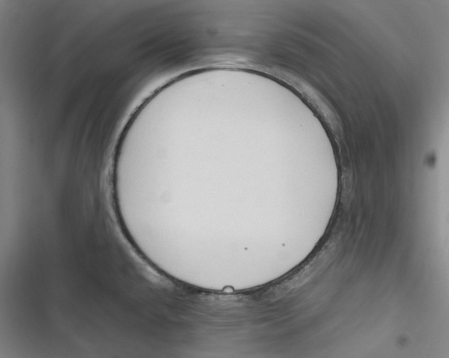 X0000116681432201001111322