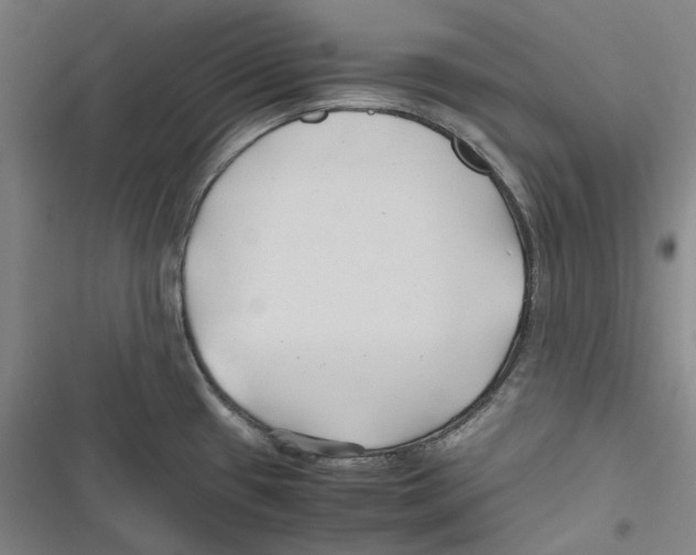 X0000116681433201001111322