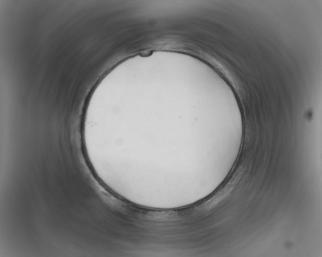 X0000116681434201001111322