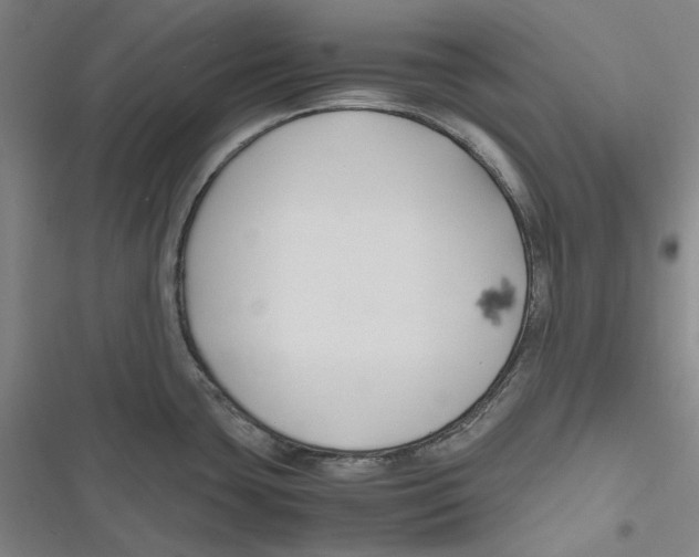 X0000116681435201001111322