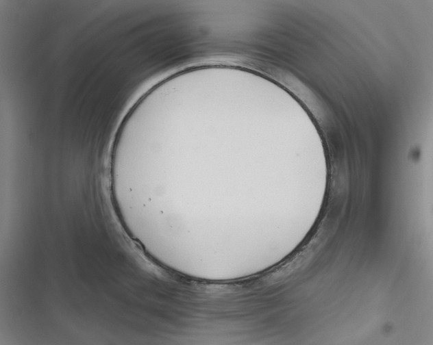 X0000116681436201001111322