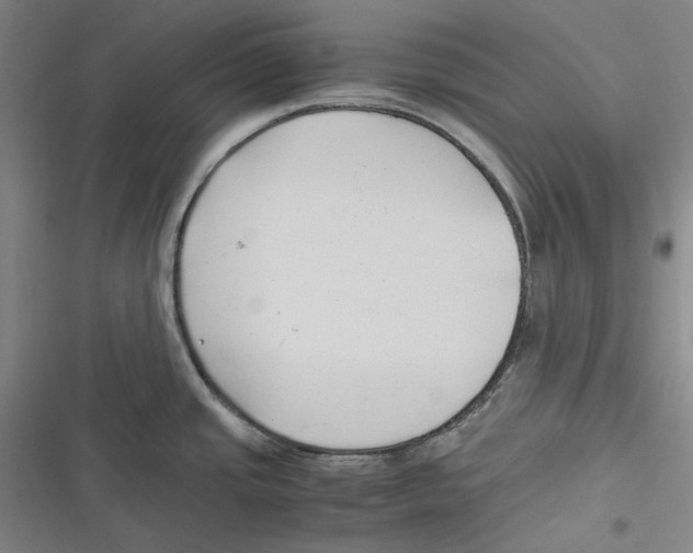 X0000116681437201001111322