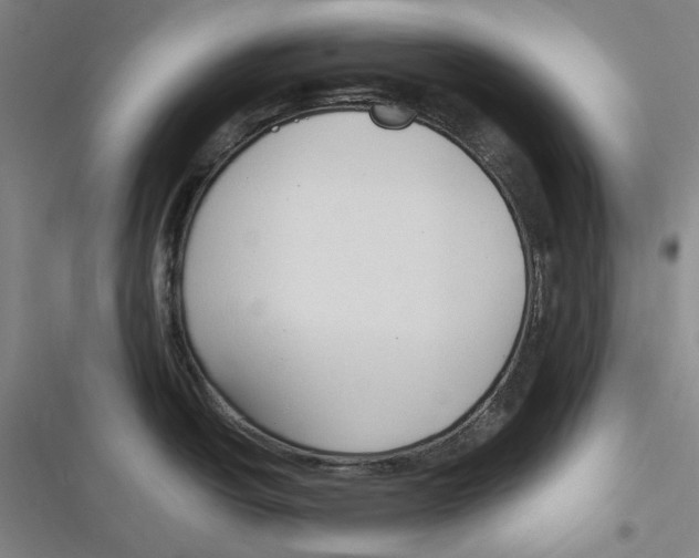 X0000116681438201001111322