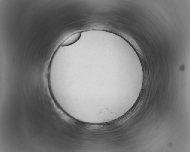 X0000116681439201001111322