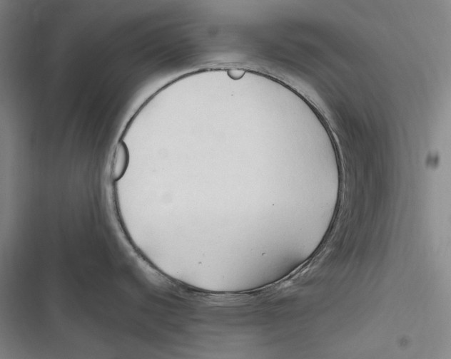 X0000116681440201001111322