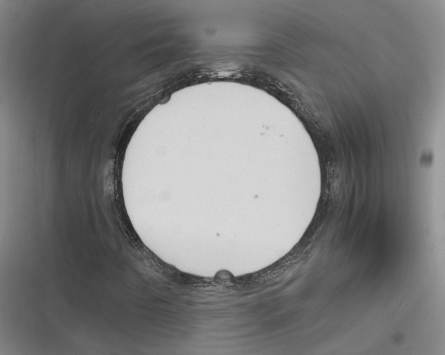 X0000116681442201001111322