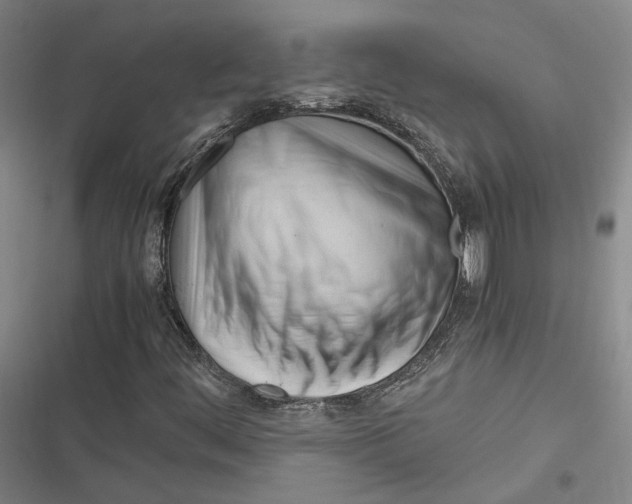 X0000116681444201001111322