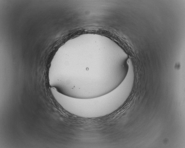 X0000116681445201001111322