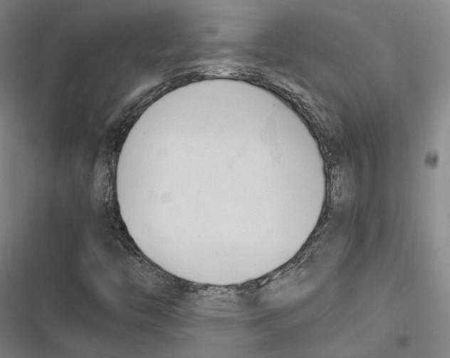 X0000116681446201001111322