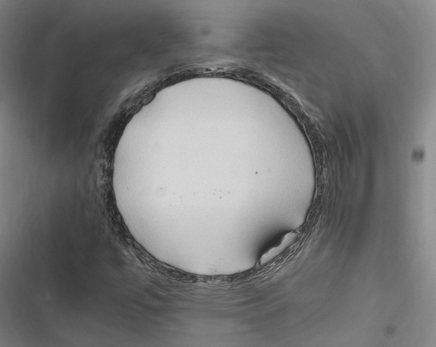 X0000116681447201001111322